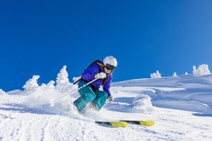车队人员变动背后的政治风云，车队职务